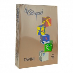 Carton color A4 160 g/mp,300 maro piele,  FAVINI , 250 coli/top