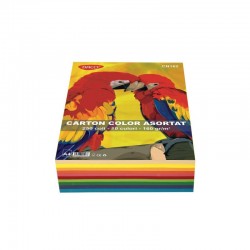 Carton color A4 ,160 g/mp 250 coli, 10 culori DACO