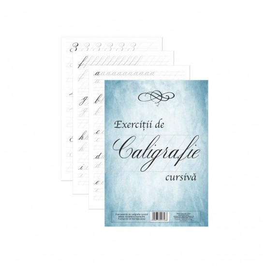 Fișe caligrafie 24 file