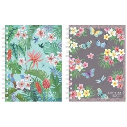 Caiet A6 cu spira dubla, 100 file, Ladylike, asortat, Herlitz Caiet A6 cu spira dubla, 100 file, Ladylike, asortat, Herlitz