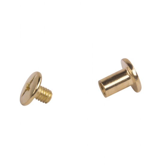 Suruburi fixare, gold, 11 mm, 8 buc/set