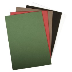 Carton buretat, coloured, 15x22x0.2cm, 5 colours, tab-bag 5pc Carton buretat, coloured, 15x22x0.2cm, 5 colours, tab-bag 5pc