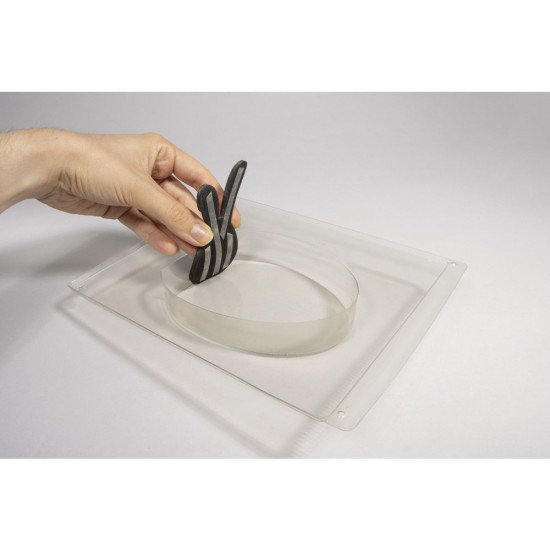 Substituent Nupsi Iepuras Pasti, 16 forme, Rayher