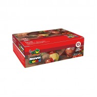 Guase Nova Color,12 culori x25ml,NC-461