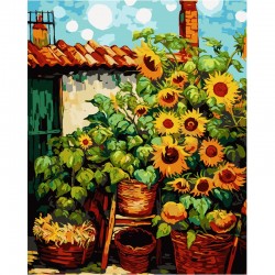 Set Pictura pe numere 40x50cm FLOAREA SOARELUI