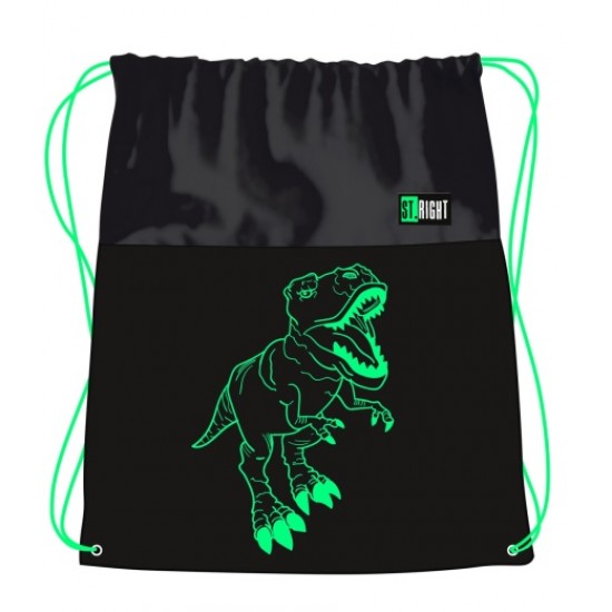 Sac Sport, Colectia St Right - Reflective T-Rex, 668029, 43x34cm