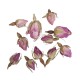 Flori uscate - Boboci trandafir roz, greutate 7g