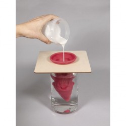 Suport matrite latex, Rayher,  2 /set : pentru ø 7,7cm + 5cm