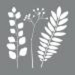 Sablon Frunze, 20,32x20,32 cm, 2 modele/set Sablon Frunze, 20,32x20,32 cm, 2 modele/set