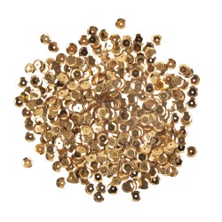 Paiete, 6 mm, vaulted, gold, tab-bag 500 pcs.