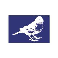 Sablon: Bird, DIN A5, 1 stencil + coating knife, tbag