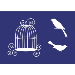 Sablon serigrafic Colivie, A5 + racleta