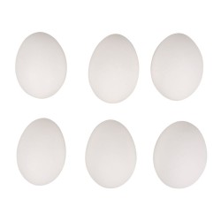Oua de gaina decorative, suflate 4,5x5,8cm, 6/set, Rayher