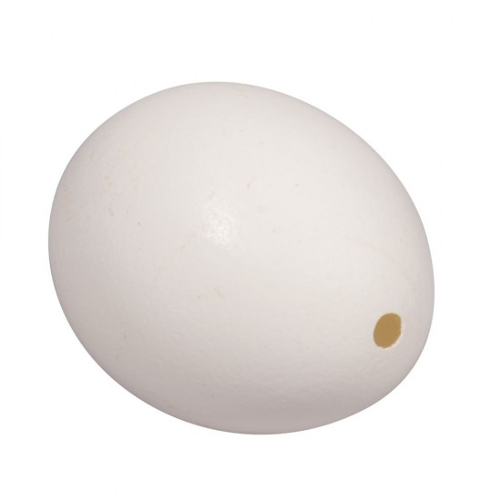 Oua de gaina decorative, suflate 4,5x5,8cm, 6/set, Rayher