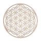 Decor lemn cerc Floarea Vieții, Rayher, 15cm ø Decor lemn cerc Floarea Vieții, Rayher, 15cm ø
