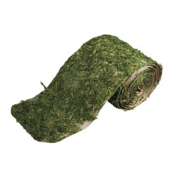 Muschi banda, Rayher, 2 metri Muschi banda, Rayher, 2 metri