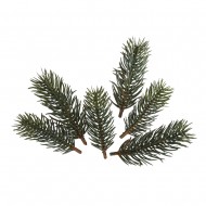 Set decorativ Rayher, crengute de brad, dimensiune 7,7 cm+9,5 cm, 6/set