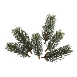 Set decorativ Rayher, crengute de brad, dimensiune 7,7 cm+9,5 cm, 6/set