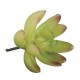 Floare artificiala, Rayher, echeveria, 5.5x3.5 cm