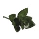 Floare artificiala, Rayher, haworthia, 5x3.5 cm