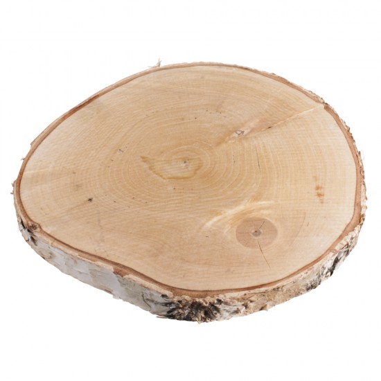 Felie lemn, Rayher, 25-28 cm