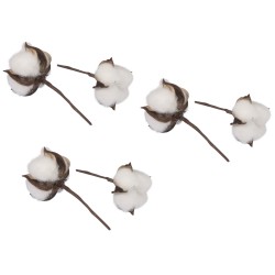 Floare de bumbac, Rayher, 6 piese, 10 cm