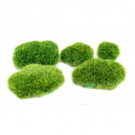 Muschi artificial , 5/set