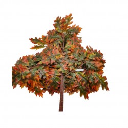 Creanga decorative frunze