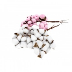 Flori de bumbac, 25cm, 10/set
