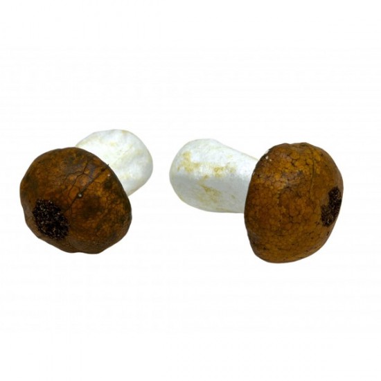 Ciuperca polistiren maro, 9.5 x 7 cm