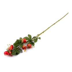 Crenguta artificiala de macese