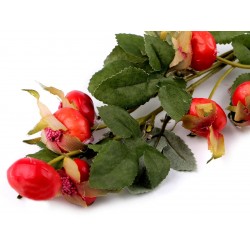 Crenguta artificiala de macese