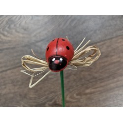 Mamaruta pe bat, aprox.2x3 cm Mamaruta pe bat, aprox.2x3 cm