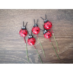 Mamarute, 5/set Mamarute, 5/set