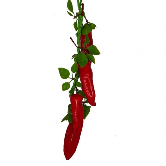 Ardei capia decor pe funie