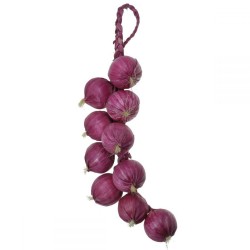 Ceapa rosie decor pe funie Ceapa rosie decor pe funie