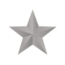 Perforator Rayher, stea 3D, 5 cm Perforator Rayher, stea 3D, 5 cm