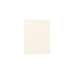 Note paper A4,FSC Mix Credit, metallic alb,  210x297 mm, 120g/m2