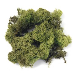 Muschi natural, Rayher, 30 g Muschi natural, Rayher, 30 g