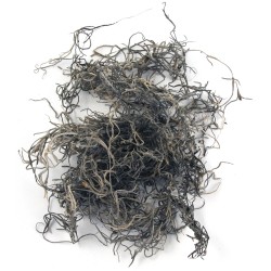 Muschi natural, Rayher, 20 g