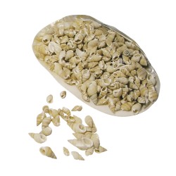 Scoici sidefate, Rayher