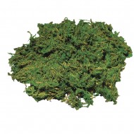 Muschi natural, Rayher, 50 g