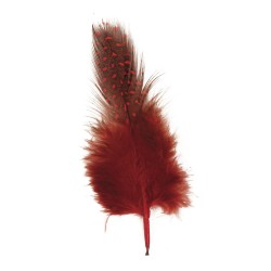 Pene decorative Rayher, dimensiune 6 cm, 2g/set, nuante de negru/rosu