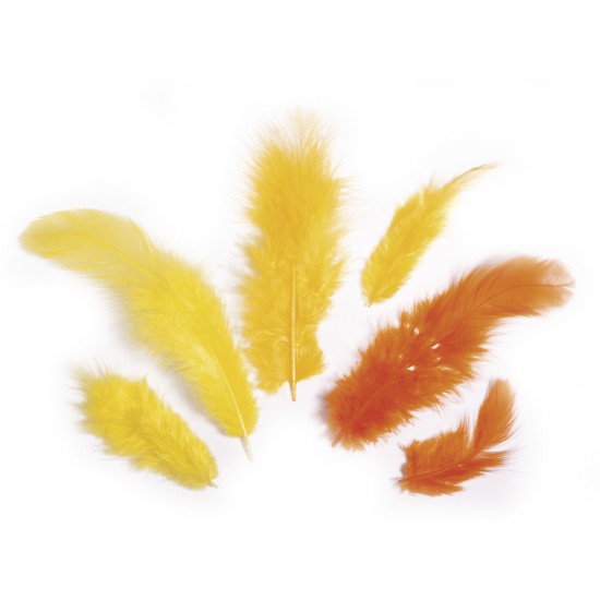 Pene decorative Rayher, dimensiune 3-10 cm, 10g/set, culoare galben/portocaliu