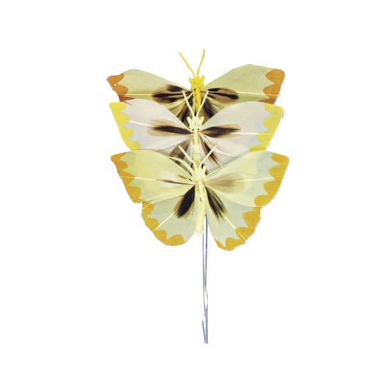 Set decorativ Rayher, fluturasi pe nuante de galben, dimensiune 6 cm, 3/set