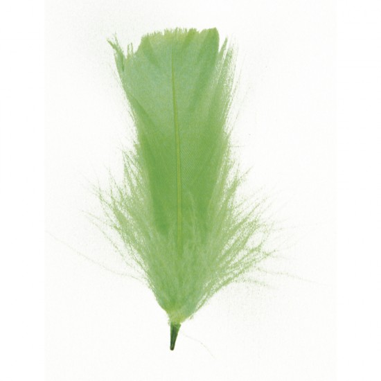 Pene decorative, Rayher, dimensiune 5-10 cm, 5g/set, culoare verde tei