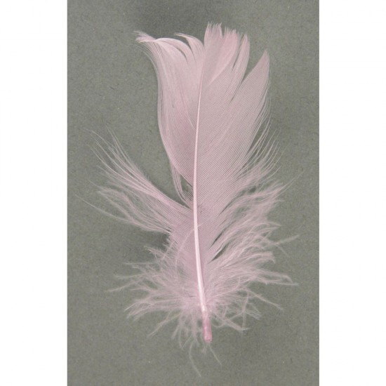 Pene decorative, Rayher, dimensiune 5-10 cm, 5g/set, culoare roz