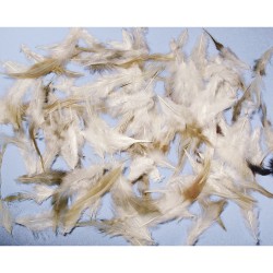 Pene Rayher, amestec Coctail, 6-15cm, 10g/set