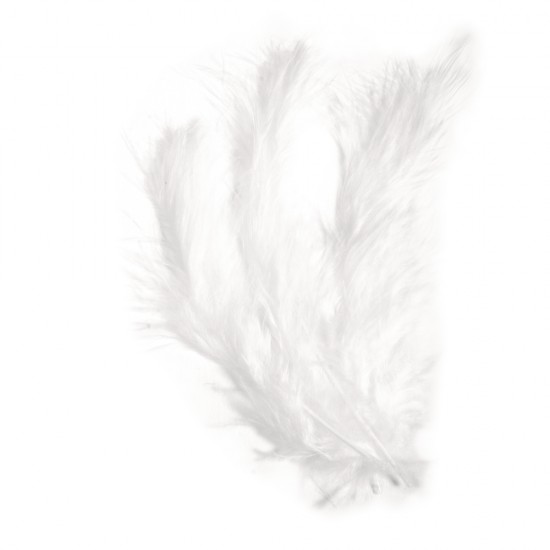 Pene decorative, white, 10-15 cm, 15 buc/set