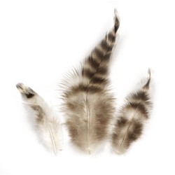 Pene decorative Rayher, dimensiune 7.5 - 9 cm, 3g/set